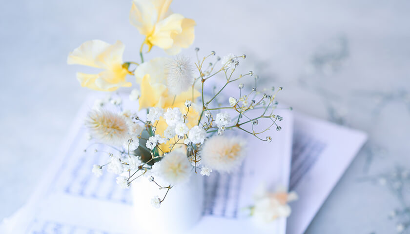 ���ˤ����Ū�ʤ�Τ������ޤ֤������ޤ֤����ԥ��ԥ�����